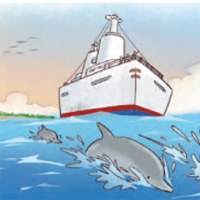 PowerPoint Tiếng Việt 4 Bài 1: Cá heo ở biển Trường Sa