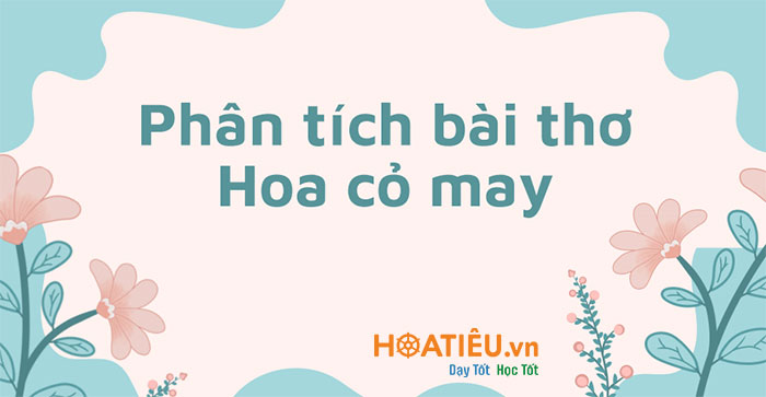 Phân tích bài thơ Hoa cỏ may