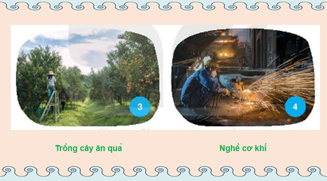 Giáo án Hoạt động trải nghiệm 7 Chủ đề 8