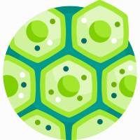 Đề thi thử THPT 2025 môn Văn Triệu Sơn 2 Thanh Hóa