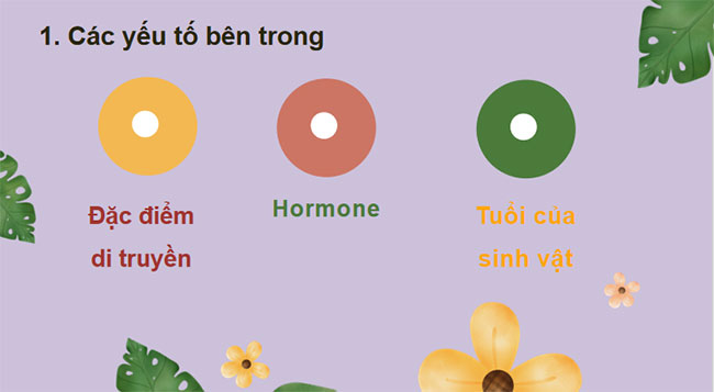 PowerPoint Khoa học tự nhiên 7 Bài 41