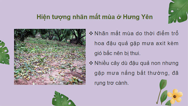 PowerPoint Khoa học tự nhiên 7 Bài 41