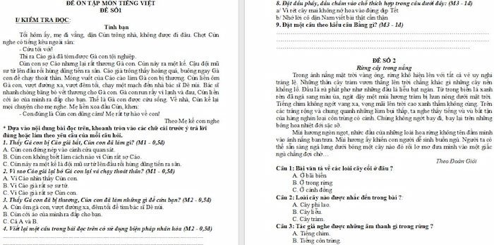Đề ôn thi học kì 2 môn Tiếng Việt 3 sách Cánh diều