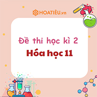 Đề thi cuối kì 2 Hóa 11 sách Cánh diều (Cấu trúc mới)