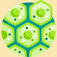 Đề thi thử THPT 2025 môn Sinh Hàm Rồng Thanh Hóa lần 2