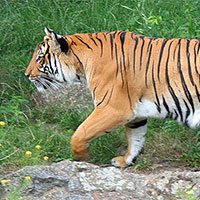 Đề cương học kì 2 môn Công nghệ 7 sách Chân trời sáng tạo