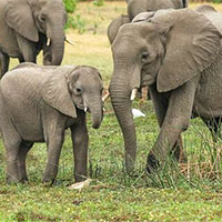 Đề cương ôn tập học kì 2 môn Công nghệ 7 sách Cánh diều