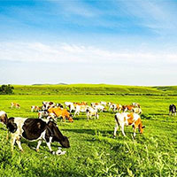 Đề cương học kì 2 môn Công nghệ 7 sách Kết nối tri thức với cuộc sống