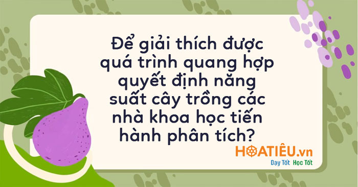 Để giải thích được quá trình quang hợp quyết định năng suất cây trồng các nhà khoa học tiến hành phân tích?