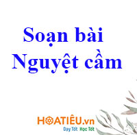 Soạn bài Nguyệt cầm