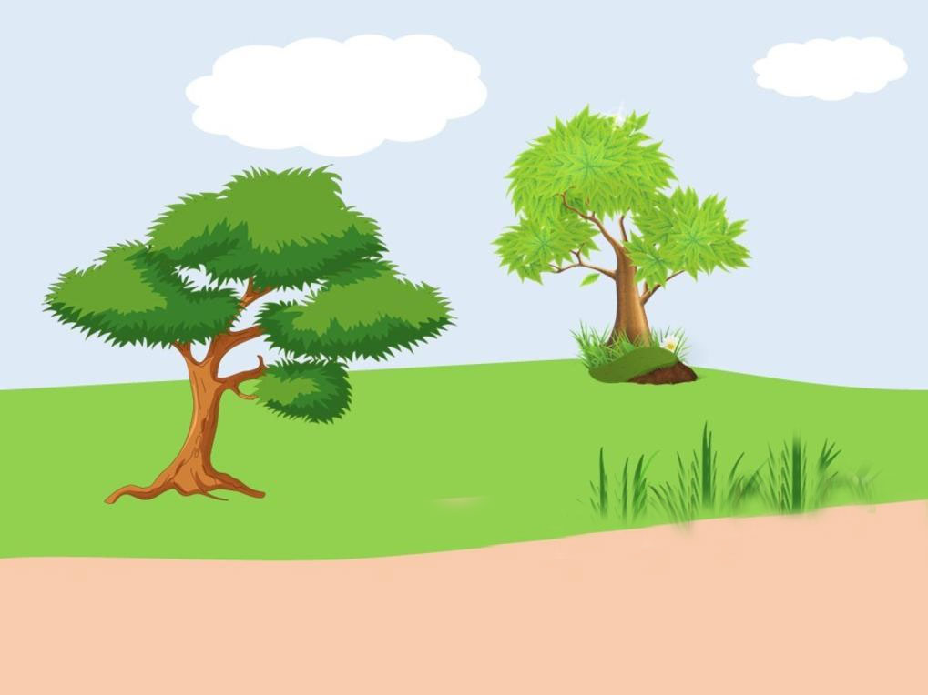 Câu hỏi Trò chơi Vượt chướng ngại vật