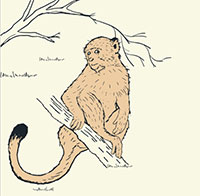 PowerPoint Ngữ Văn 10 Bài 1: Cuộc tu bổ lại các giống vật