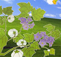 Giáo án mầm non: Bài thơ Hoa kết trái