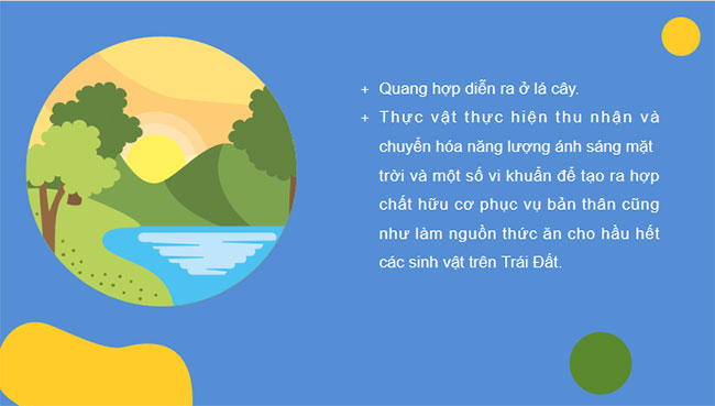 PowerPoint KHTN 7 Bài 22