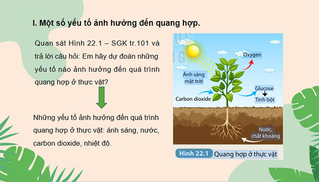 Giáo án PowerPoint Sinh học 7 Bài 23