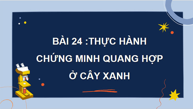 Giáo án PowerPoint Sinh học 7 Bài 24