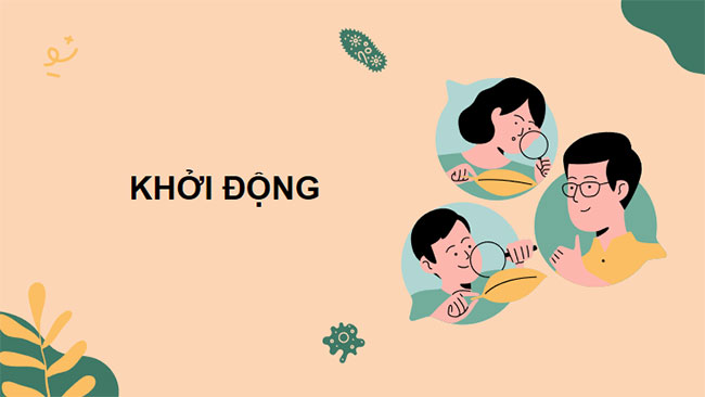 PowerPoint KHTN 7 Bài 25