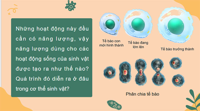 PowerPoint KHTN 7 Bài 25