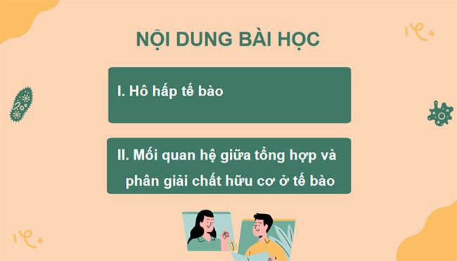 PowerPoint KHTN 7 Bài 25