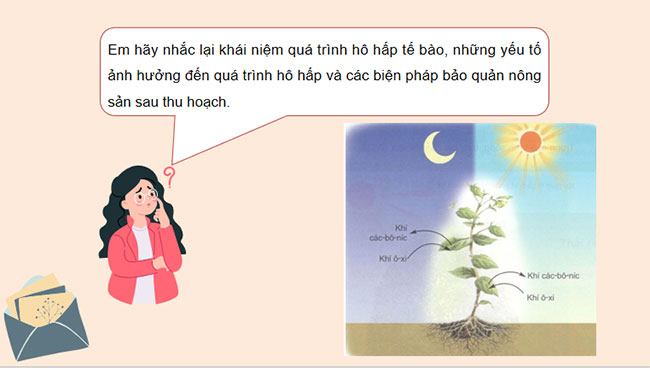 PowerPoint KHTN 7 Bài 27 Kết nối