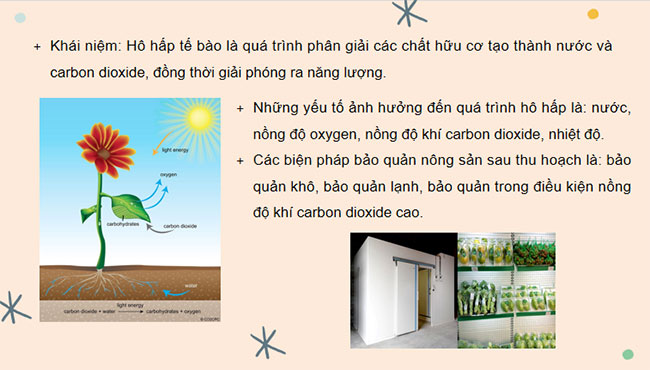 PowerPoint KHTN 7 Bài 27 Kết nối