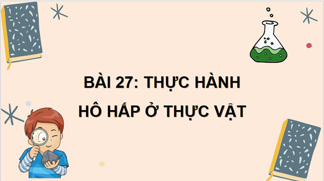 PowerPoint KHTN 7 Bài 27 Kết nối