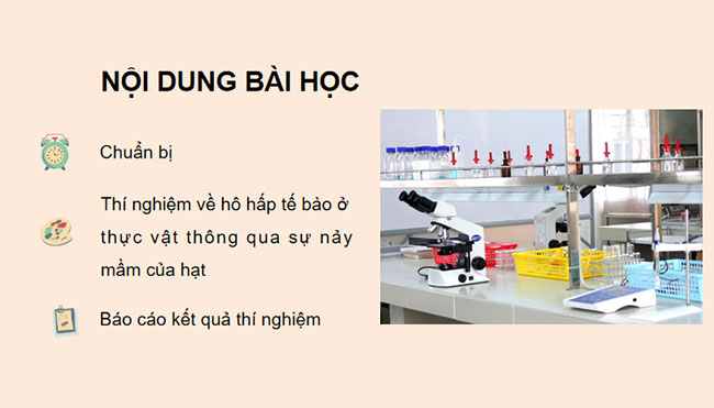 PowerPoint KHTN 7 Bài 27 Kết nối