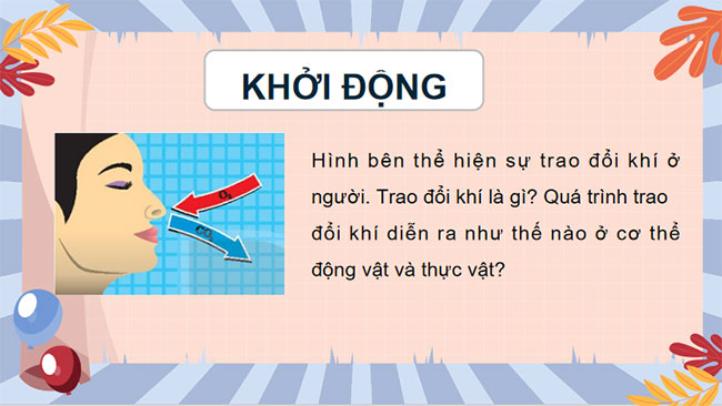 PowerPoint KHTN 7 Bài 28