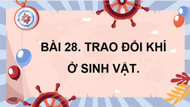 PowerPoint KHTN 7 Bài 28