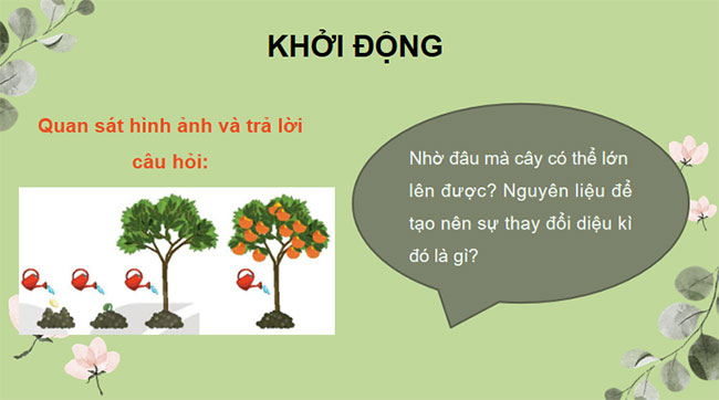 PowerPoint KHTN 7 Bài 29 Kết nối tri thức