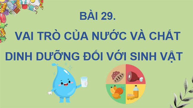 PowerPoint KHTN 7 Bài 29 Kết nối tri thức