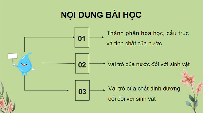 PowerPoint KHTN 7 Bài 29 Kết nối tri thức