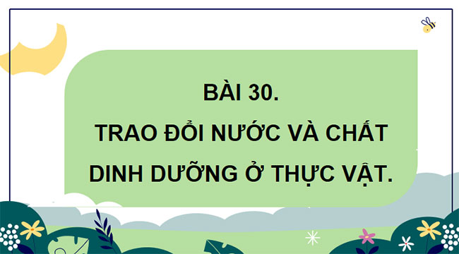 PowerPoint KHTN 7 Bài 30