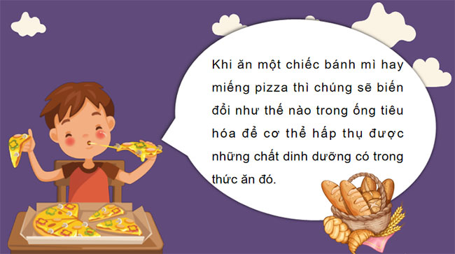 PowerPoint KHTN 7 Bài 31 Kết nối tri thức