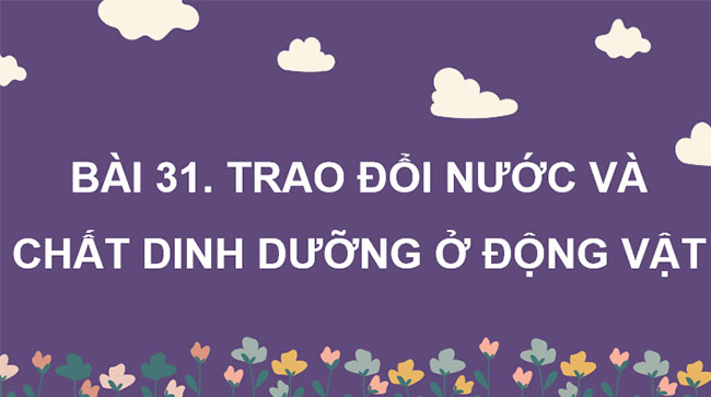 PowerPoint KHTN 7 Bài 31 Kết nối tri thức