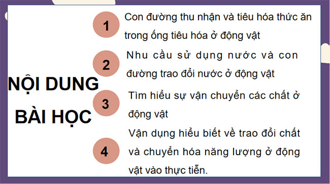 PowerPoint KHTN 7 Bài 31 Kết nối tri thức