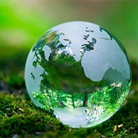 PowerPoint Tiếng Việt 5: Miền đất xanh