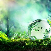 PowerPoint Khoa học 5 Bài 19: Chức năng của môi trường đối với sinh vật