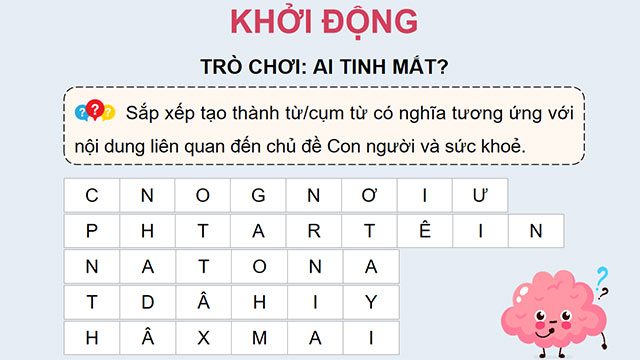 PowerPoint Ôn tập chủ đề Con người và sức khoẻ