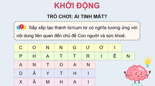 PowerPoint Ôn tập chủ đề Con người và sức khoẻ