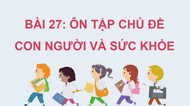 PowerPoint Ôn tập chủ đề Con người và sức khoẻ