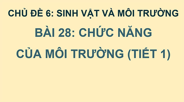 PowerPoint Chức năng của môi trường