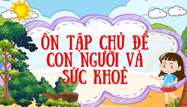 PowerPoint Ôn tập chủ đề Con người và sức khỏe