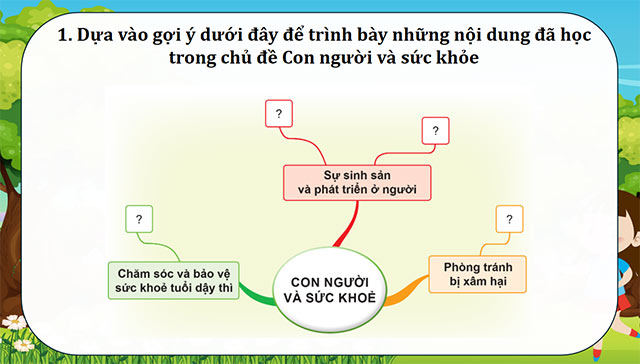 PowerPoint Ôn tập chủ đề Con người và sức khỏe