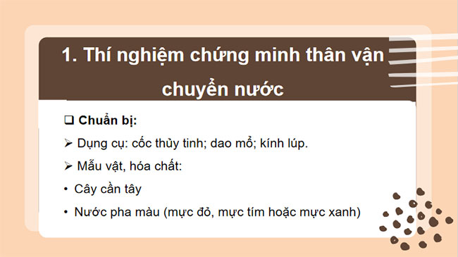 PowerPoint KHTN 7 Bài 32