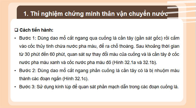 PowerPoint KHTN 7 Bài 32