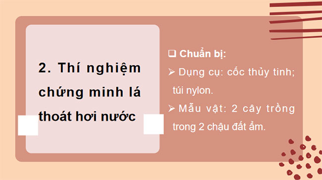 PowerPoint KHTN 7 Bài 32