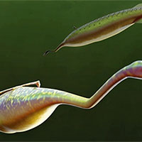 PowerPoint Khoa học tự nhiên 7 Bài 32: Thực hành Chứng minh thân vận chuyển nước và lá thoát hơi nước