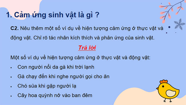 PowerPoint KHTN 7 Bài 33