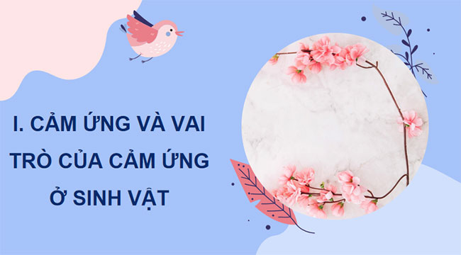 PowerPoint KHTN 7 Bài 33